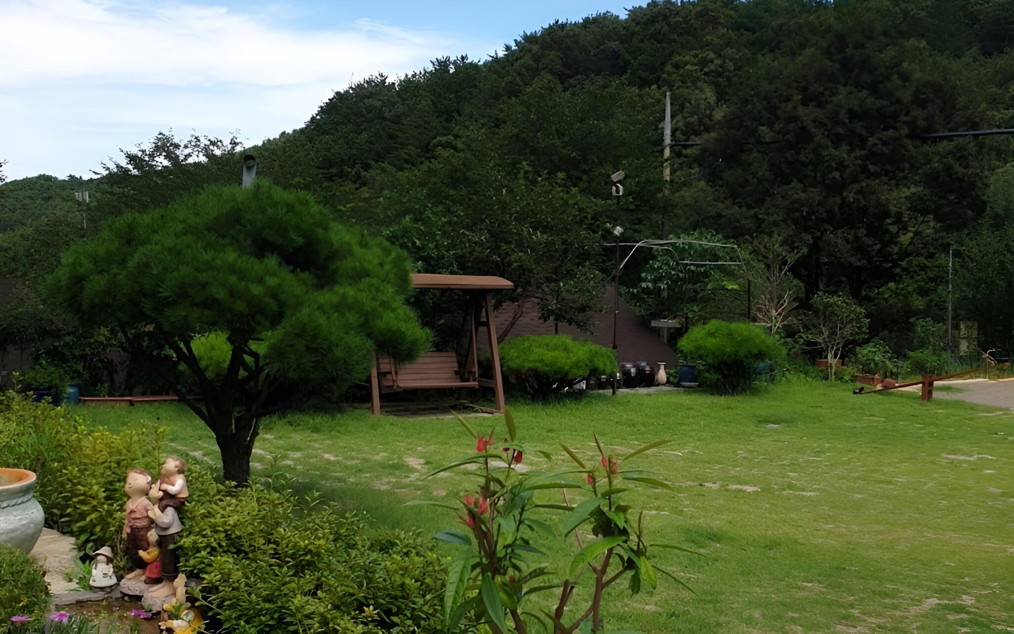 Photo 7