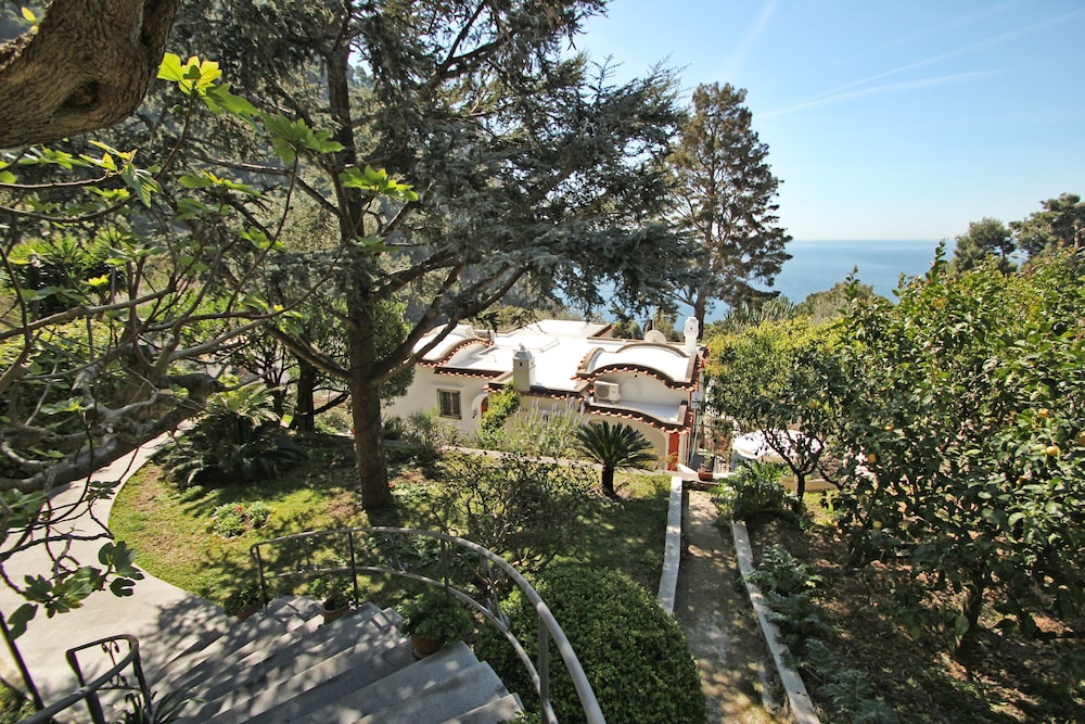 Photo 47