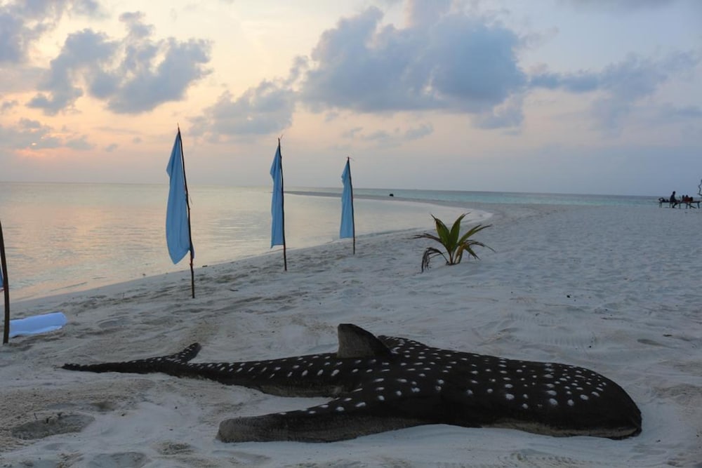 Scuba Inn