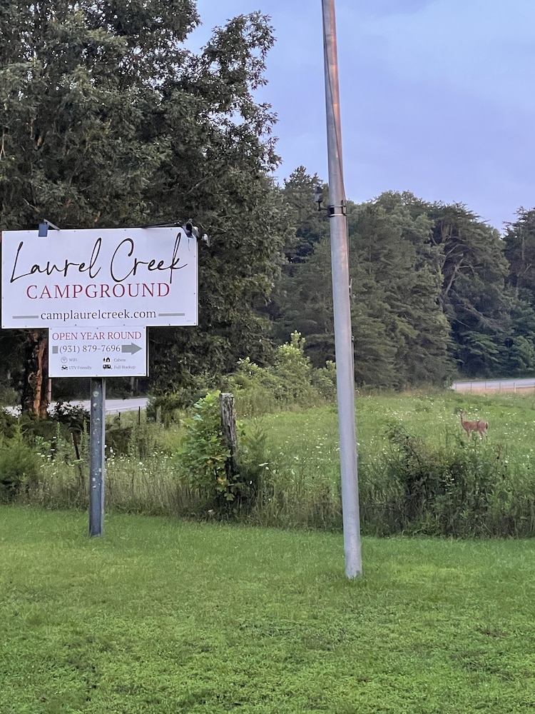 Laurel Creek Campground