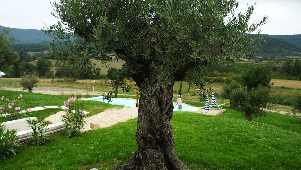 Photo 53