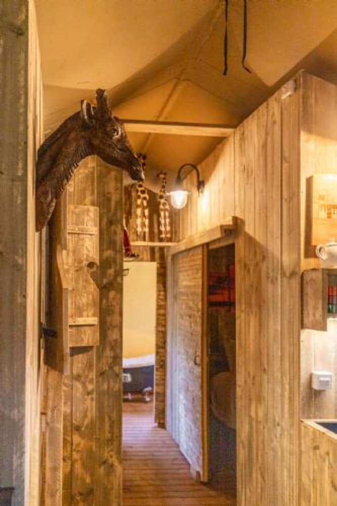 Host Stay Giraffe Enclosure