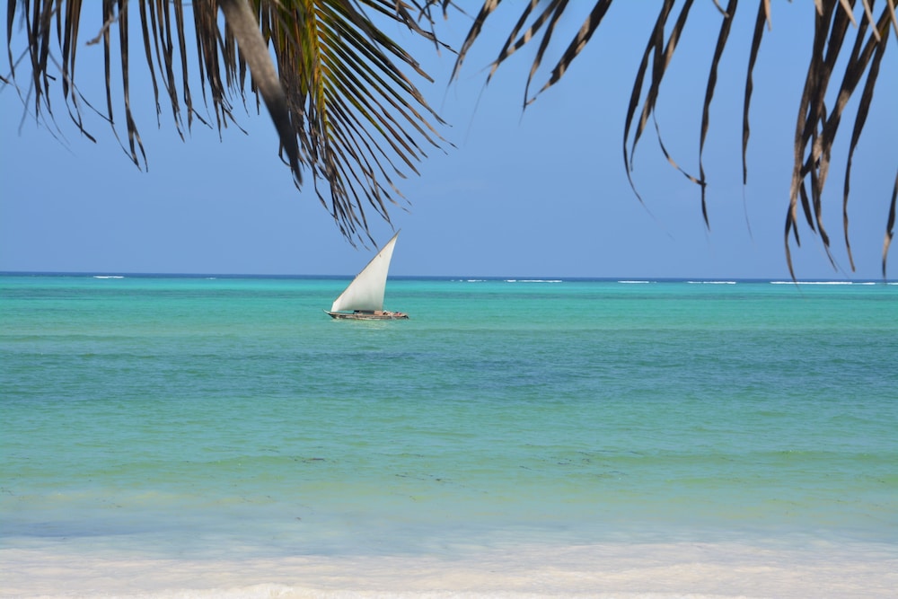 Kiwengwa Vacations - Neptune Pwani Beach Resort Spa Zanzibar - Property Image 95