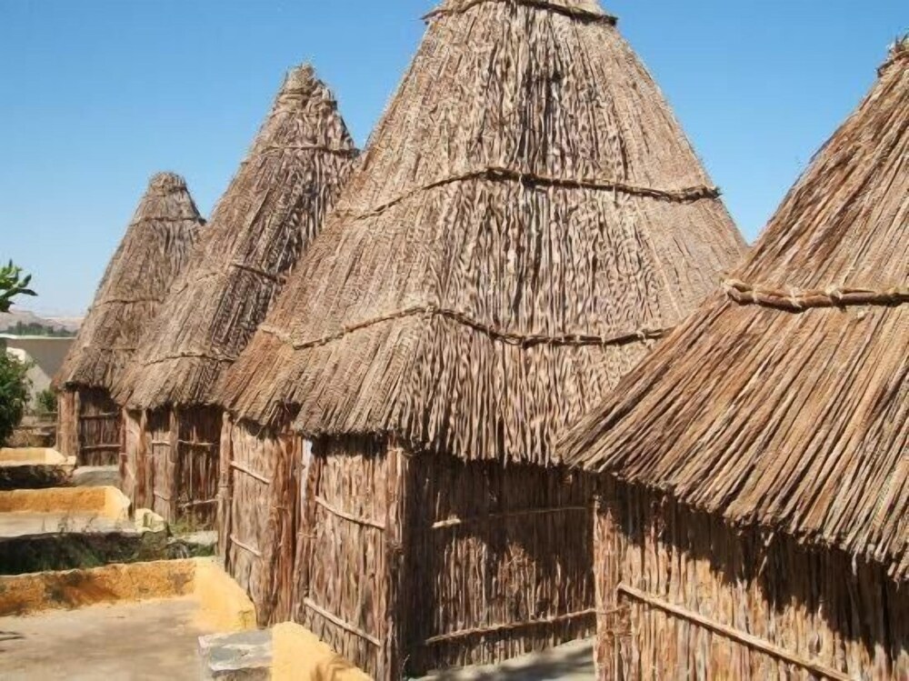 Badry Sahara Camp
