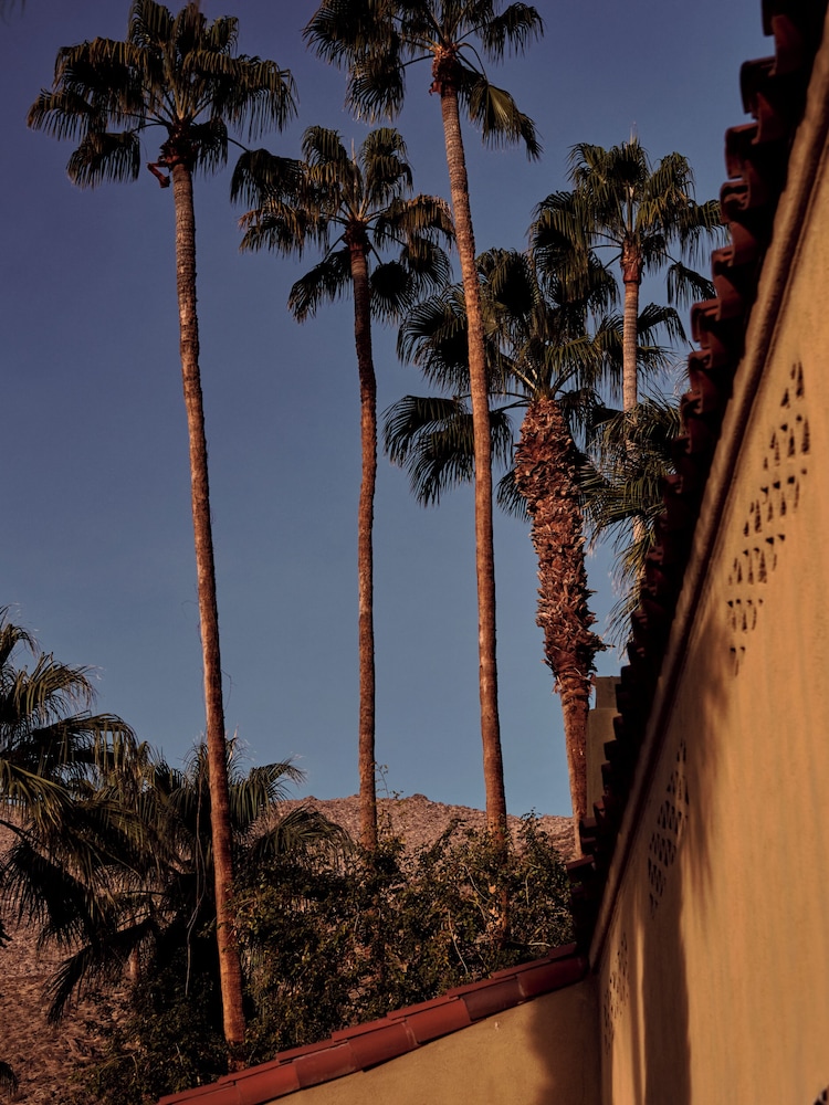 The Willows Palm Springs