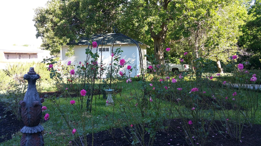 Fig Tree Manor