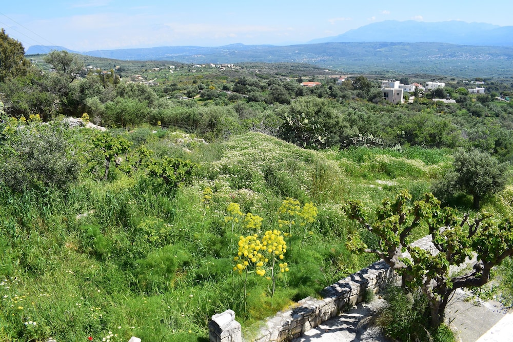 Eirini's Stone House