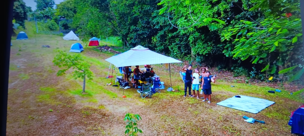 Dressrosa Guest house