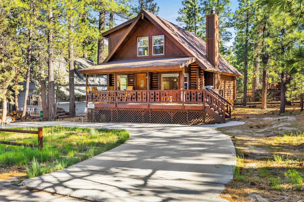 Cub's Cabin #2561