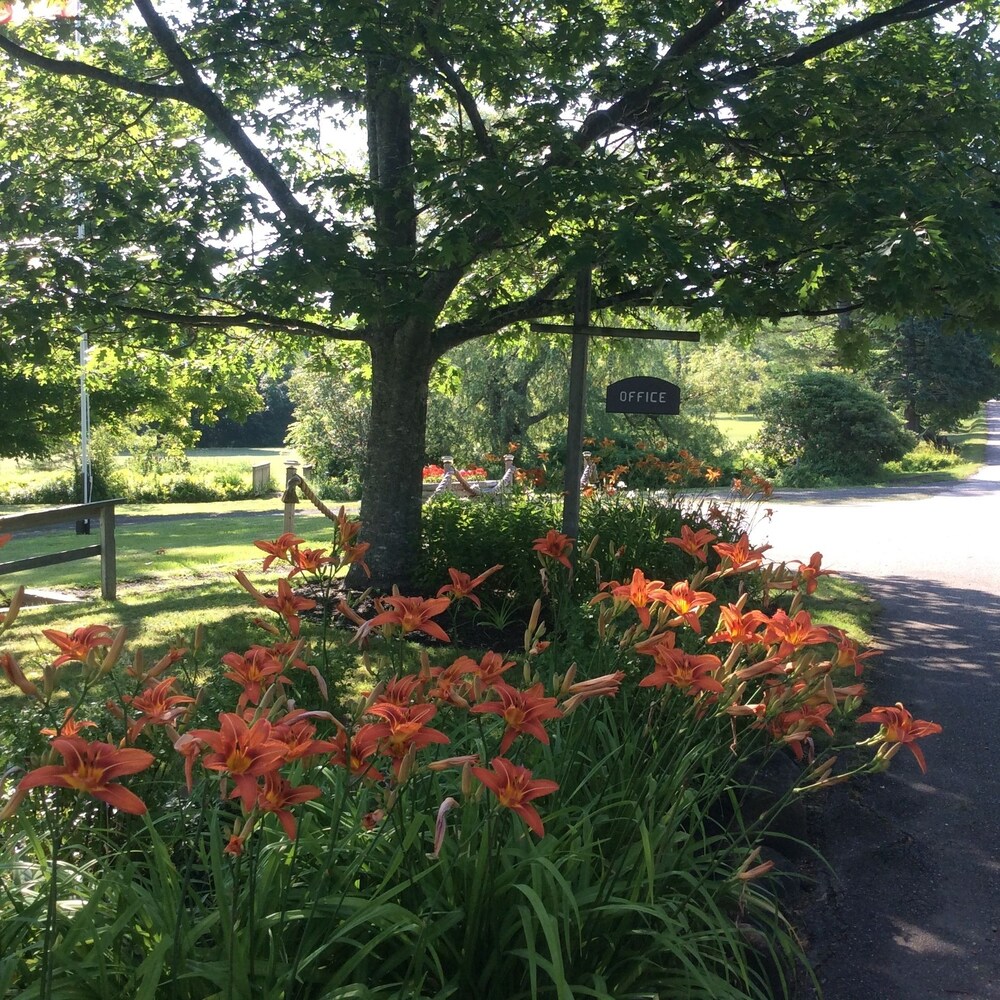 Villages of mountain Gap Cottages view 2