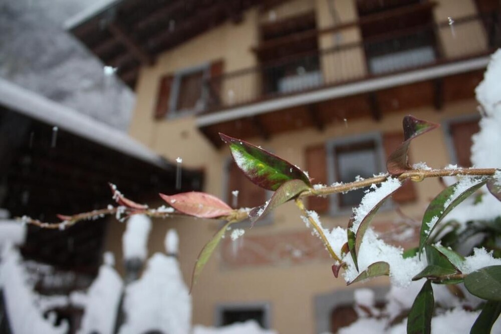 Il Giardino degli Elfi