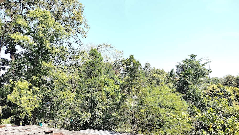 Aamy's Homestay view 2