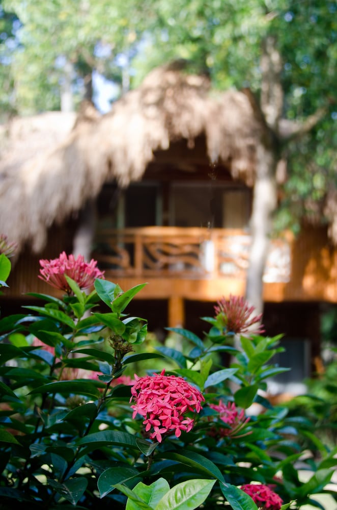 Mike's Dauin Beach Resort