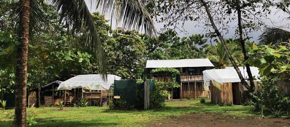 Miguel Surf  Camp