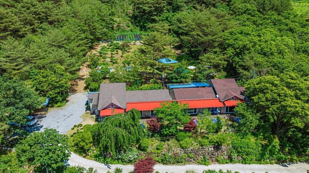 Photo 44