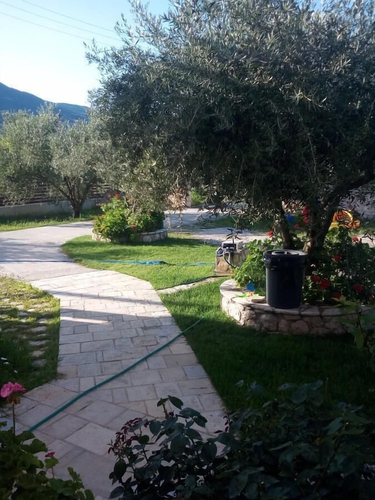 Photo 41