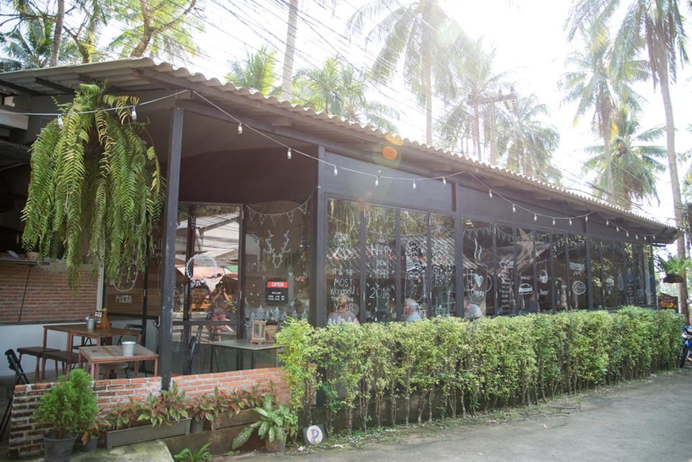 Sleepy Owl Hostel
