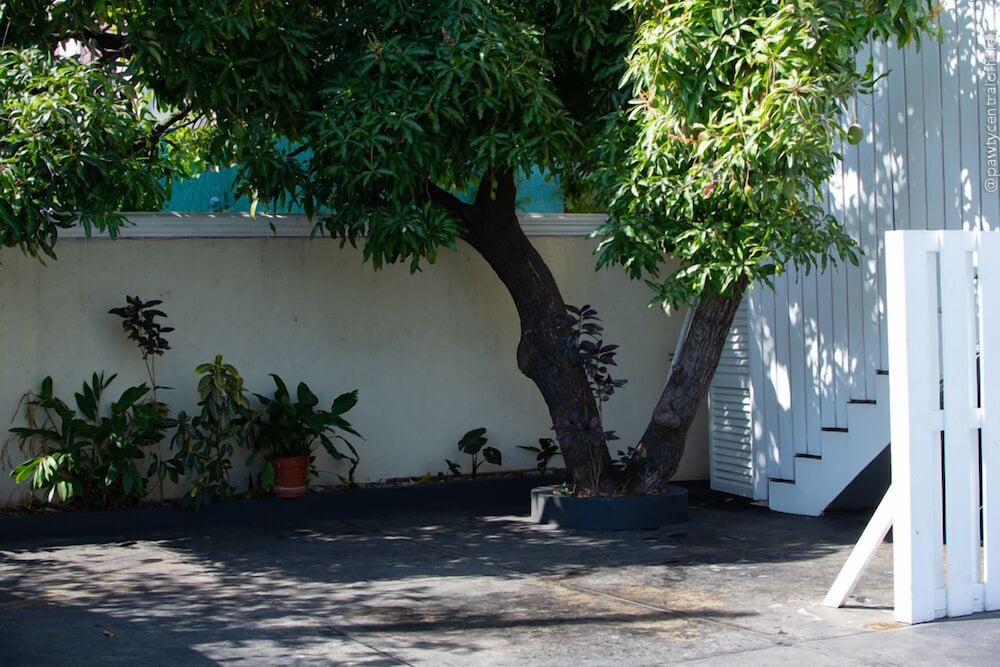 Photo 28