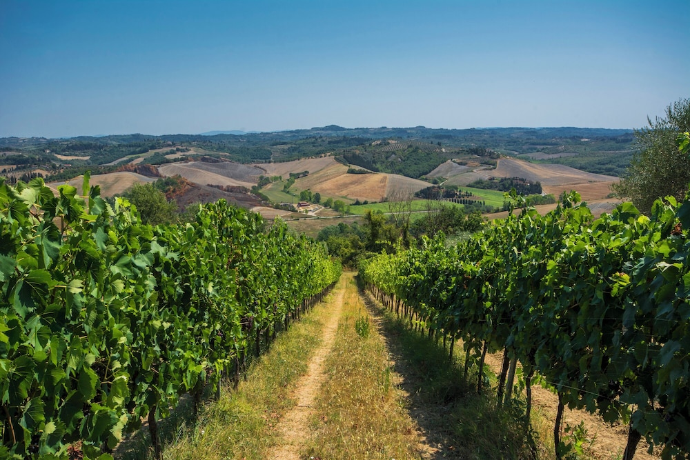 Amazing Chianti Site Fienile Shared Pool