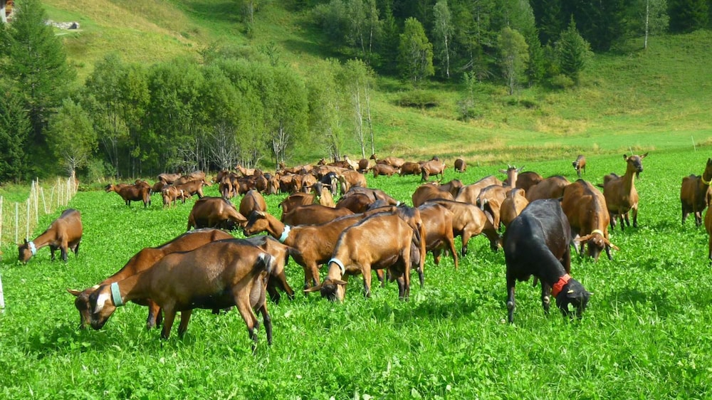 Agriturismo Le Reve