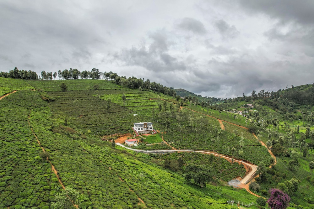 Heavenly Hills