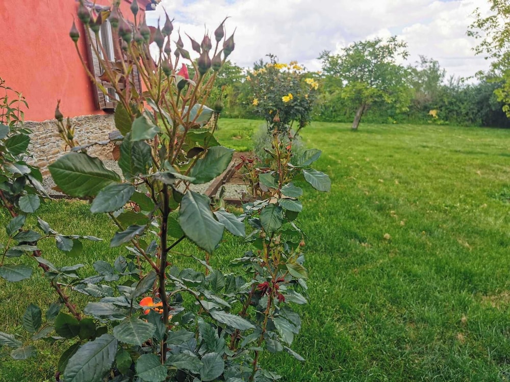 Photo 42
