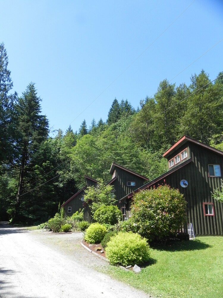 Forest Echoes Cabins