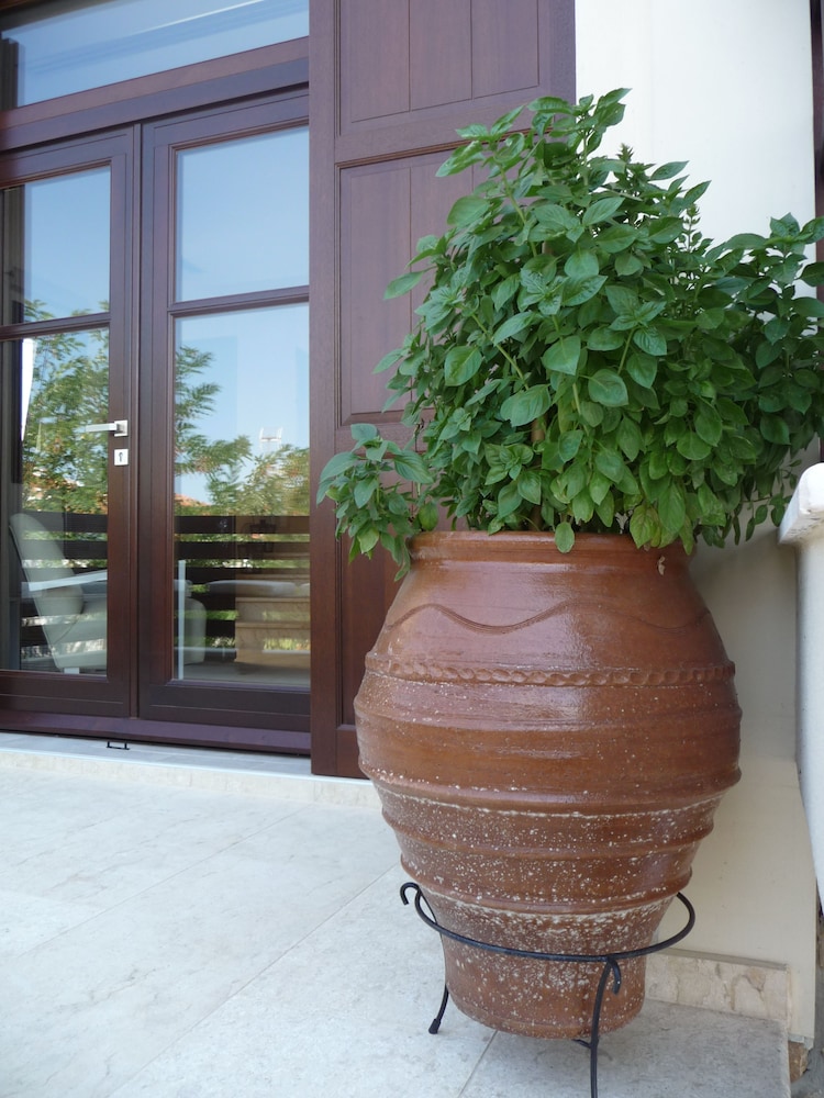 Helianthus Guesthouse