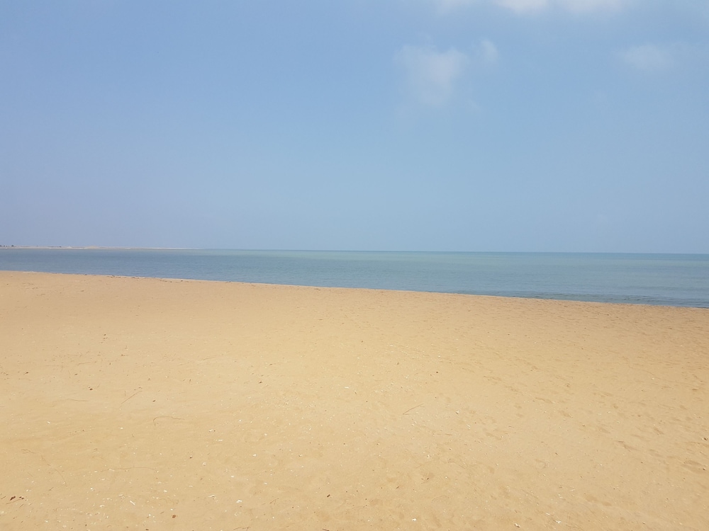 Wellé Wadiya
