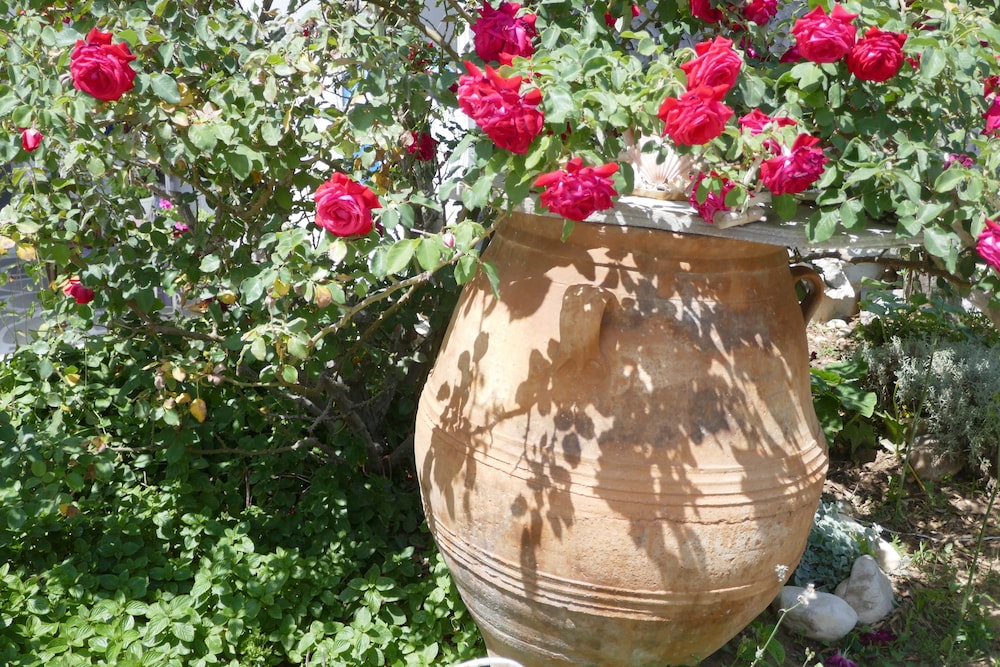 Photo 43