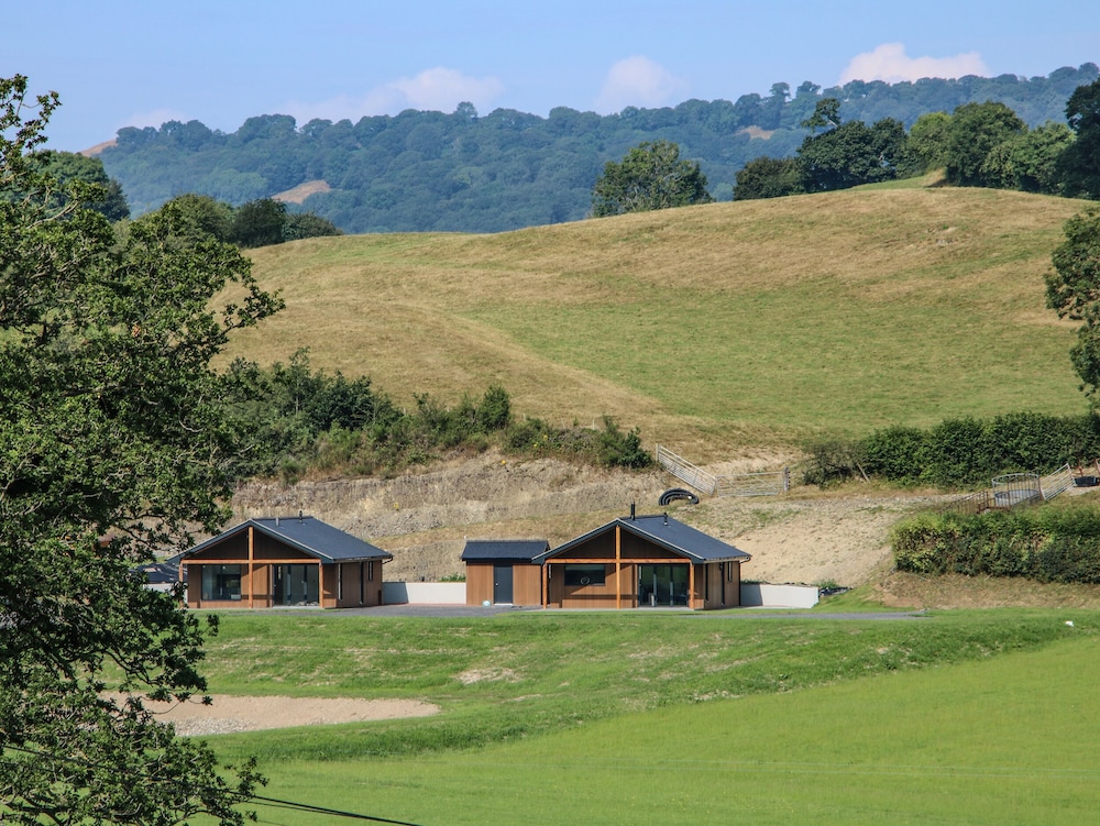 Meadow View