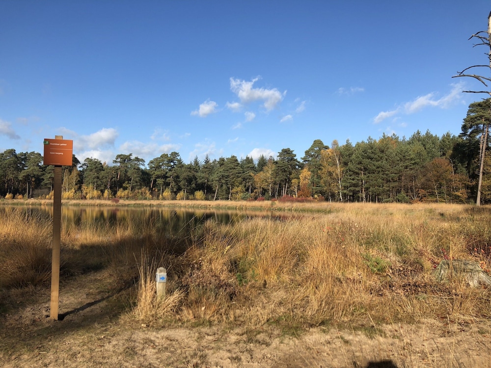 Villa in Ommen With Private Pond view 3