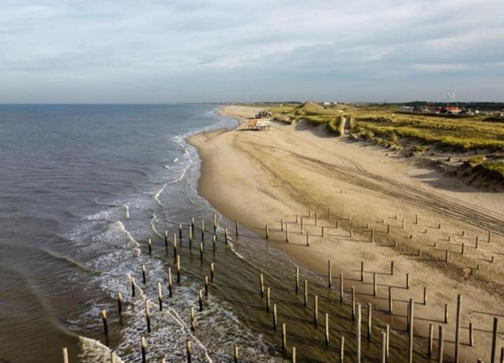 Apartment With Dunes View of Petten