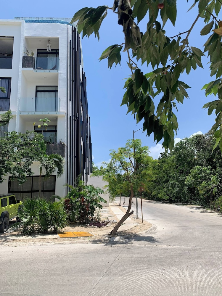 Perfect Studio Light and Nature in Aldea Zama