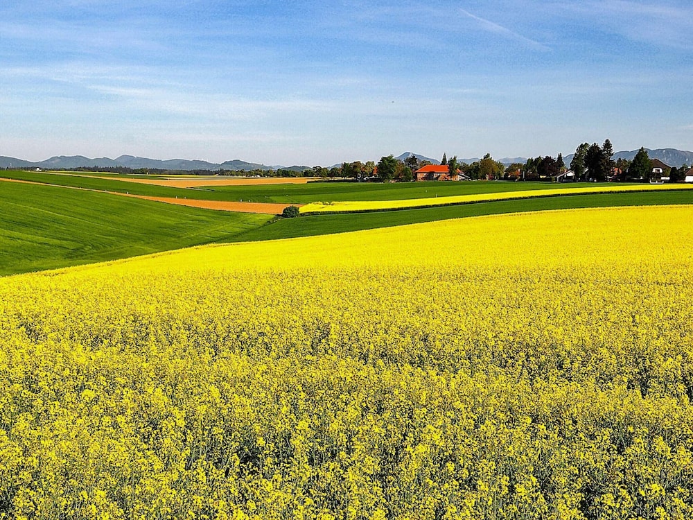 Holiday Home by the Water in Osby