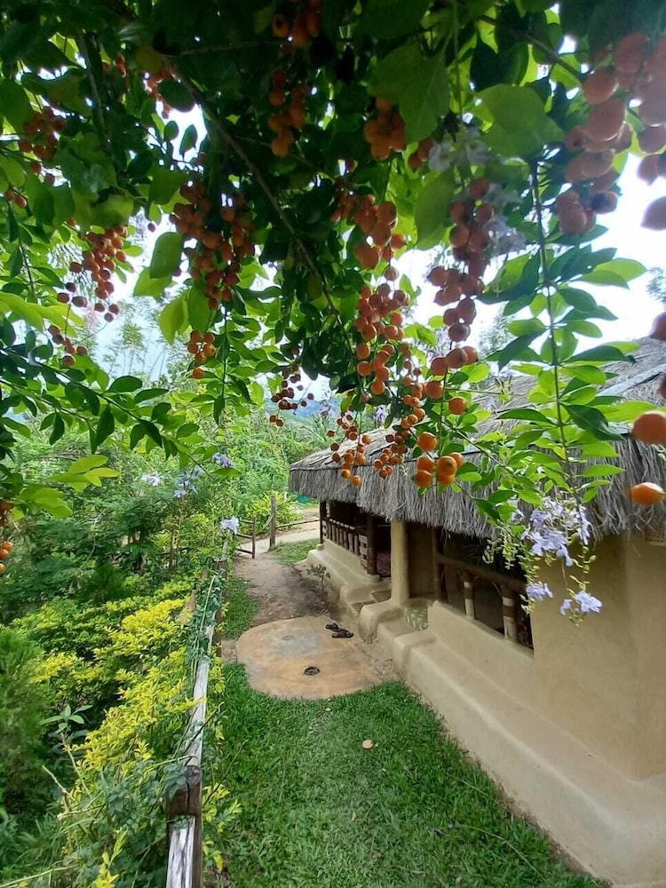 Nature Tones By BRDGE HOSPITALITY