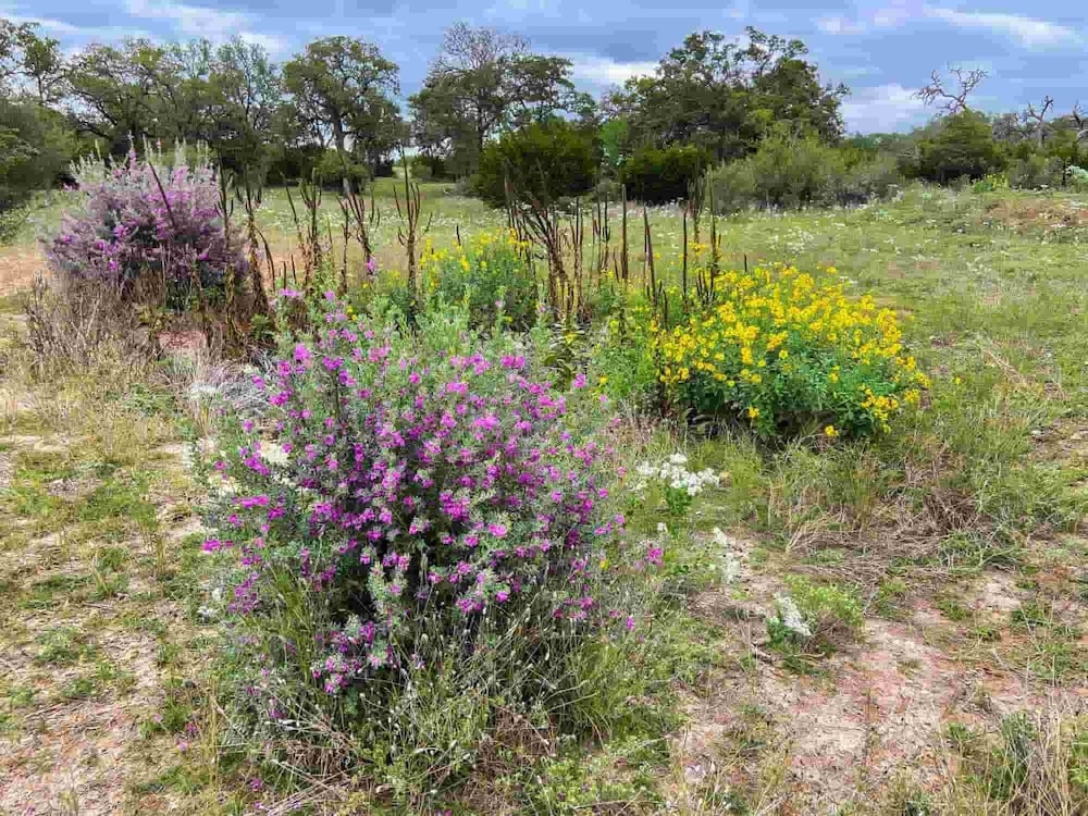 CRC Ranch Retreat