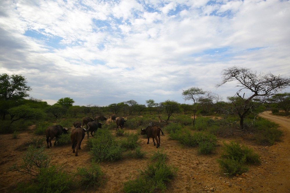 Palala Boutique Game Lodge & Spa