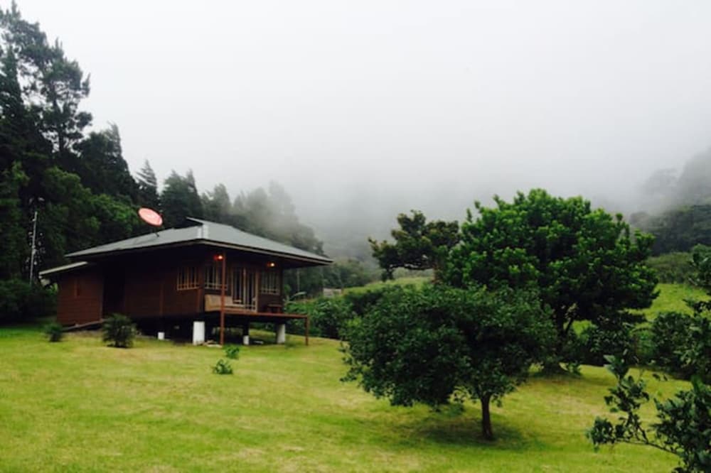 Hotel Lemon House Monteverde - Image 1