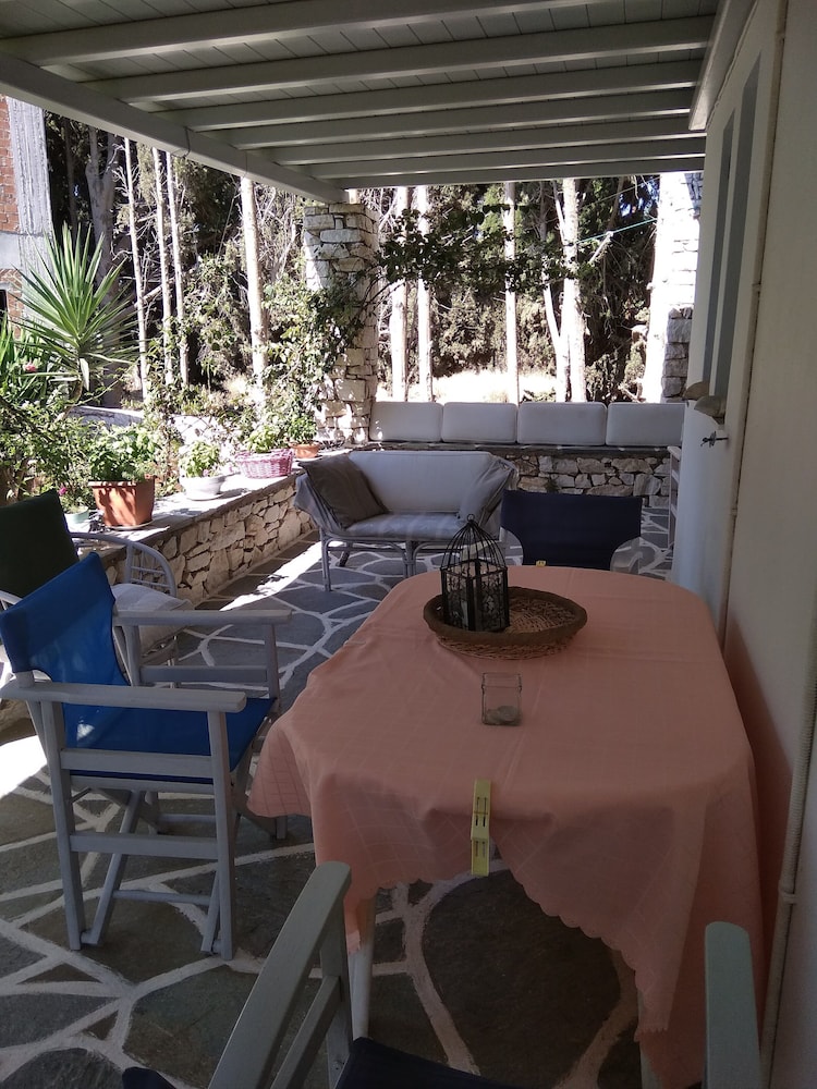 Photo 42