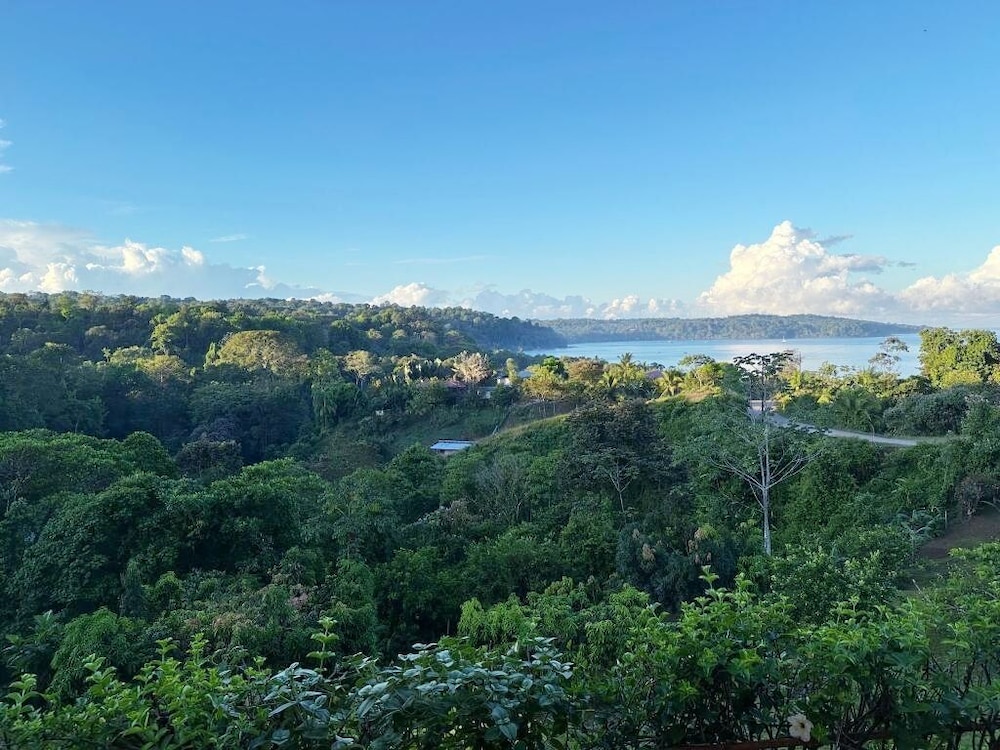 Ocean and forest view Manolo Cabins