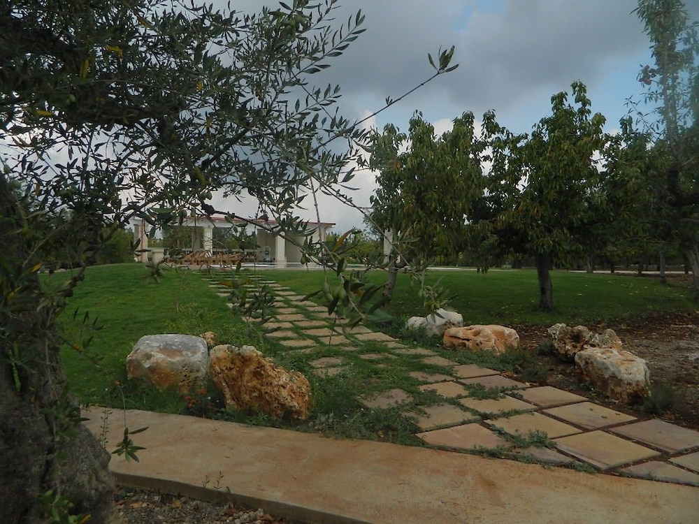 Photo 24