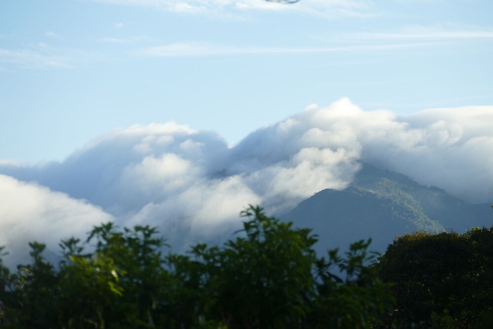 Photo 42
