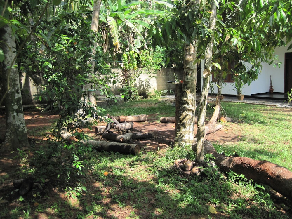 Jungleside House