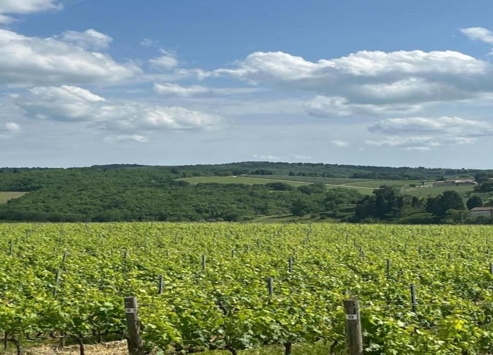 Holiday Home in San Donato With Vineyard Views view 5