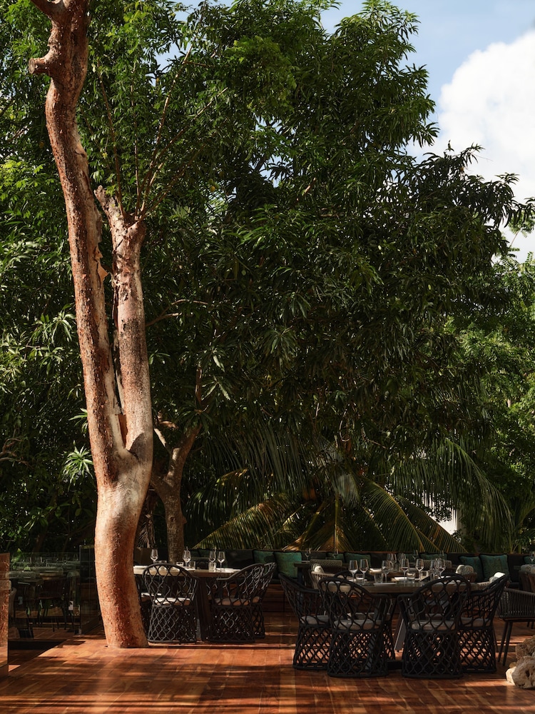 Kimpton Grand Roatan Resort And Spa by IHG - Photo 81