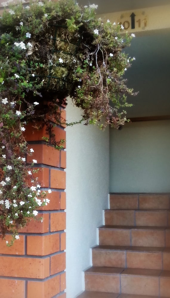 Photo 44
