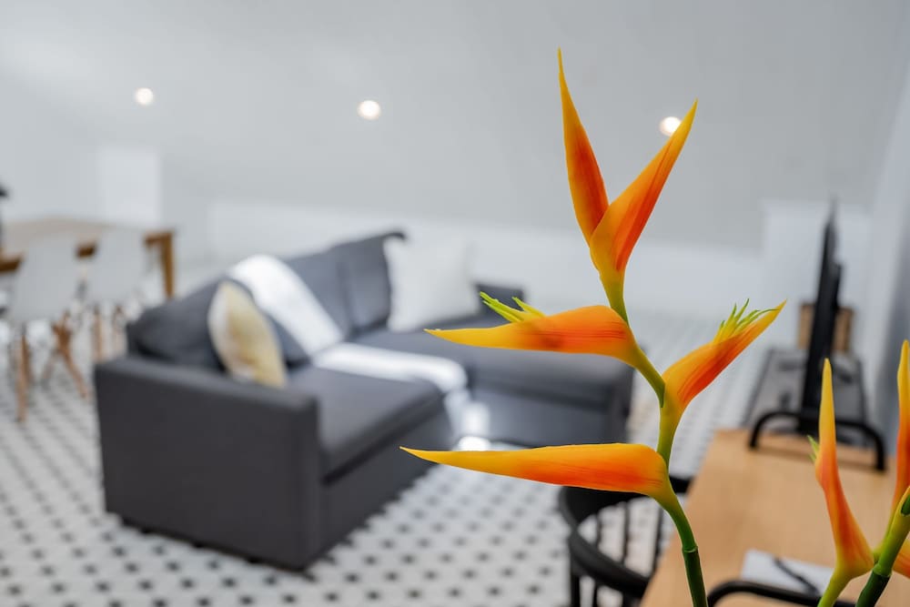 w Perfect Loft in Plaza Catedral