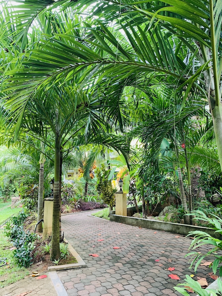 OSoleil Guesthouse photo 4