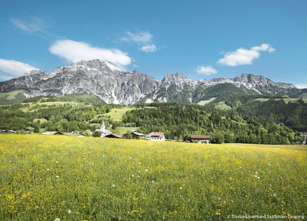 Cozy Saalfelden Stay Mountain Panorama